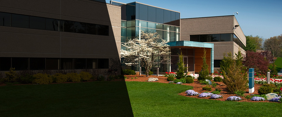 Doylestown Landscapers