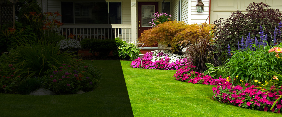 Doylestown Landscapers